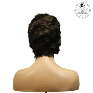 roxane bmb beauty machine made black wig remy hair h001